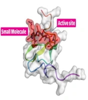 Iran J Pharm Res