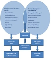 Iranian Journal of Radiology 