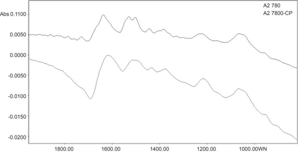 Spectral features of A2780 and A2780-CP cell lines in the range of 1900-700 cm<sup>-1</sup>