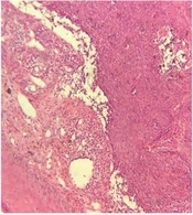 J Skin Stem Cell