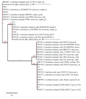 Jundishapur J Microbiol