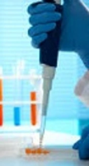 https://www.google.com/search?q=pcr+test&source=lnms&tbm=isch&sa=X&ved=0ahUKEwiX0-yWoKvdAhXnpIsKHQyPDtMQ_AUICigB&biw=1366&bih=631#imgrc=fqU_M9FAjwoe3M: