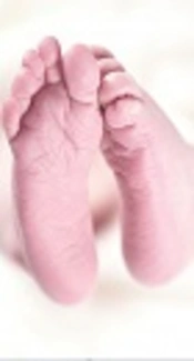 https://pxhere.com/en/photo/1344990