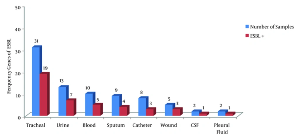 Gel Electrophoresis of PCR Products of ESBL TEM, 1- Lader (100 bp), 2- Negative control, 3- Positive control (800 bp), 4, 5- Positive sample (800 bp); SHV, 1- Lader (100 bp), 2-Positive control (867 bp), 3- Negative control, 4 - 6- Positive sample (867 bp); CTX-M, 1- Lader (100 bp), 2- Negative control, 3- Positive control (594 bp), 4- Positive sample (594 bp).