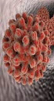 Molecular Characterization of Drug Resistance in Hepatitis B Viruses Isolated from Patients with Chronical Infection in Turkey