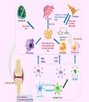 J Inflamm Dis