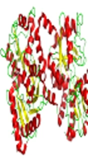 In Silico and in Vitro Studies of Cytotoxic Activity of Different Peptides Derived from Human Lactoferrin Protein