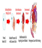 International Journal of Cancer Management