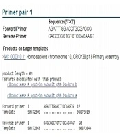 Jundishapur J Microbiol