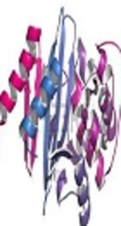 Carbapenemase, 123RF