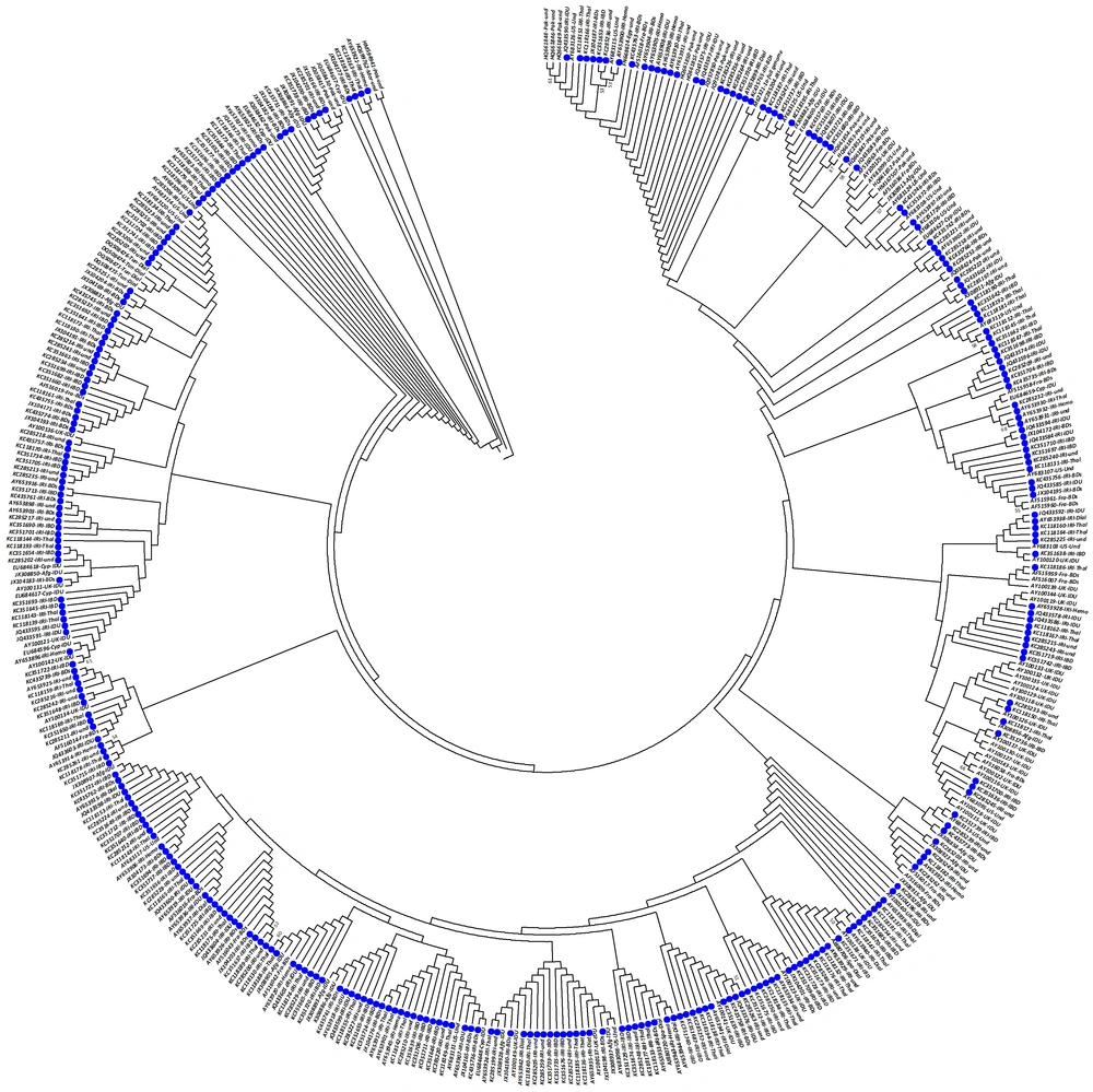 Phylogenetic Analysis of NS5B Sequences of HCV Subtype 1a, The analysis involved 442 nucleotide sequences, and codon positions included 1<sup>st</sup>+2<sup>nd</sup>+3<sup>rd</sup>+Noncoding. All positions containing gaps and missing data were eliminated. Phylogenetic clusters were defined by bootstrap analysis (cut-off 50%). Values for these clusters are indicated next to the branches (values > 50% are shown). The accession number, the country of origin, and patient group are listed for all isolates. Solid blue circles indicate sequences attributed to the Iranian strains. Abbreviations of country names are as follows: Afgh: Afghanistan; Azer: Azerbaijan; Cyp: Cyprus; Egy: Egypt; Fra: France; IRI: Iran; Ita: Italy; Mor: Morocco; Ned: Netherlands; Pak: Pakistan; Spa: Spain; Tun: Tunisia; UK: the United Kingdom; USA: the United States of America. Abbreviations of patient groups are as following: BDs: blood donors; Dial: hemodialysis; IDU: intravenous drug users; IBD: inherited bleeding disorders; Hemo: hemophilia; Thal: thalassemia; LT: liver transplants; Und: undetermined.The optimal tree with the sum of branch length of 1.380 is shown, and there were a total of 187 positions in the final dataset. Phylogenetic Analysis of NS5B Sequences of HCV Subtype 1a, The analysis involved 442 nucleotide sequences, and codon positions included 1<sup>st</sup>+2<sup>nd</sup>+3<sup>rd</sup>+Noncoding. All positions containing gaps and missing data were eliminated. Phylogenetic clusters were defined by bootstrap analysis (cut-off 50%). Values for these clusters are indicated next to the branches (values > 50% are shown). The accession number, the country of origin, and patient group are listed for all isolates. Solid blue circles indicate sequences attributed to the Iranian strains. Abbreviations of country names are as follows: Afgh: Afghanistan; Azer: Azerbaijan; Cyp: Cyprus; Egy: Egypt; Fra: France; IRI: Iran; Ita: Italy; Mor: Morocco; Ned: Netherlands; Pak: Pakistan; Spa: Spain; Tun: Tunisia; UK: the United Kingdom; USA: the United States of America. Abbreviations of patient groups are as following: BDs: blood donors; Dial: hemodialysis; IDU: intravenous drug users; IBD: inherited bleeding disorders; Hemo: hemophilia; Thal: thalassemia; LT: liver transplants; Und: undetermined.The optimal tree with the sum of branch length of 1.380 is shown, and there were a total of 187 positions in the final dataset.