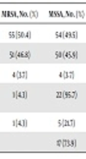 International Journal of Infection