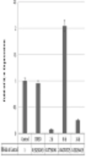 Evaluation of <i>Zataria multiflora</i> Boiss. (Shirazi Thyme) Hydro Alcoholic Extract Effect on Pro-Inflammatory Cytokine IL-6 Different Transcript Variants Expression Level in Mesenchymal Stem Cells (MSCs)