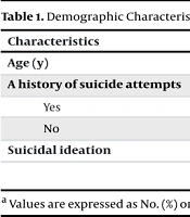 Int J High Risk Behav Addict