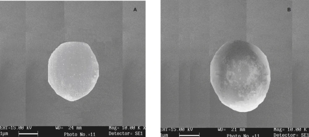 Scanning the electron micrograph of dried beads of (A) batch K<sub>4</sub>(COB formulation) and (B) batch S<sub>5 </sub>(HOB formulation)