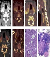 Iranian Journal of Radiology