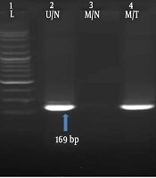 Gene, Cell and Tissue