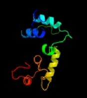 Gene Cell Tissue