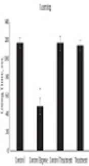 Vitamin C Improves Passive Avoidance Learning and Memory in Rats Exposed to Radiofrequency Waves Generated by a Base Transceiver Station (BTS) Antenna Model