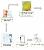 Gene Cell Tissue