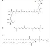 Iran J Pharm Res