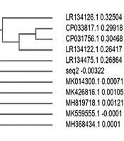 Archives of Clinical Infectious Diseases