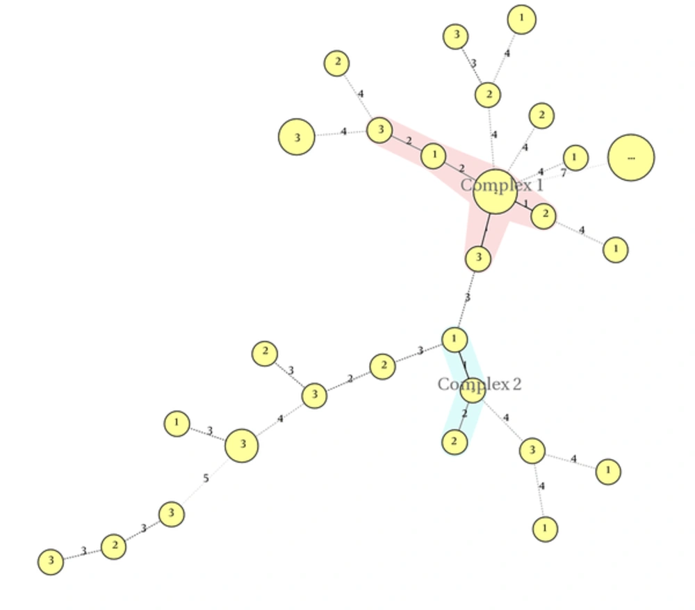Minimal Spanning Tree of <i>Klebsiella pneumoniae</i> Isolates Minimal Spanning Tree of <i>Klebsiella pneumoniae</i> Isolates