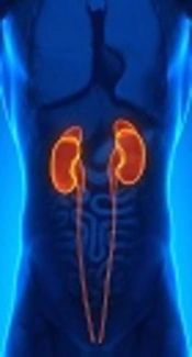 Prevalence of White Coat Hypertension in Patients with Chronic Kidney Disease
