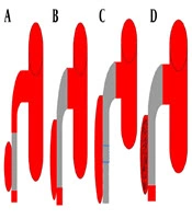 Iranian Journal of Radiology