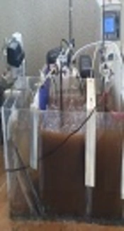 The Efficiency of a Novel Cycling Flow Baffled Reactor Performance for the Removal of Nitrogen and Organic Matter from Wastewater