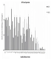 Jundishapur Journal of Microbiology