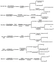 Archives of Neuroscience
