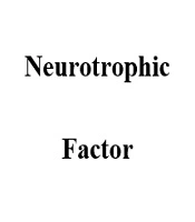 International Journal of High Risk Behaviors and Addiction