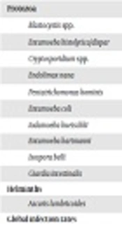 International Journal of Infection