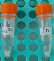Jundishapur J Microbiol