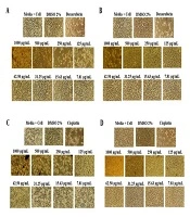 Iran J Pharm Res