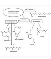 Jundishapur J Nat Pharm Prod
