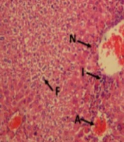 Jundishapur J Nat Pharm Prod
