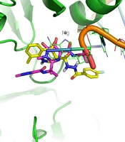 Iran J Pharm Res