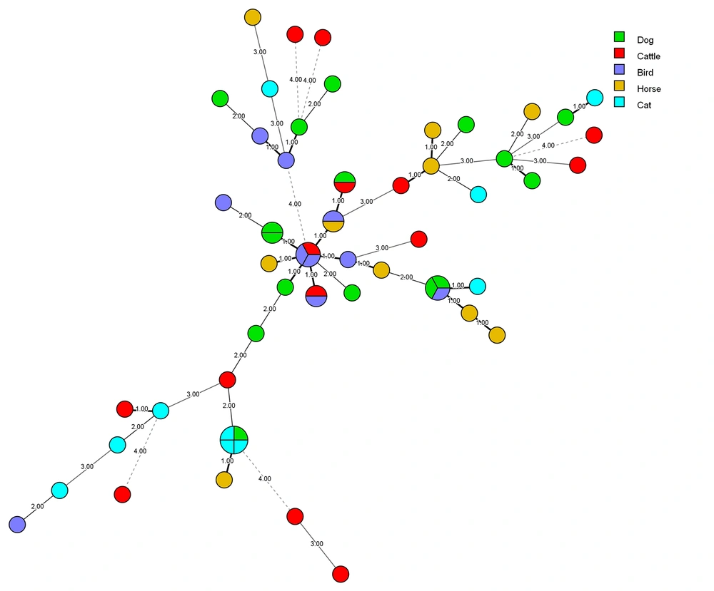 Minimum spanning tree of <i>Candida albicans</i> isolates using BioNumerics<sup>TM</sup> software (version 7.6. Applied Maths), shows the relationship between the genotypes and animal hosts. The circle size showed the number of genotypes. The lines are related to genetic distance among genotypes. Minimum spanning tree of <i>Candida albicans</i> isolates using BioNumerics<sup>TM</sup> software (version 7.6. Applied Maths), shows the relationship between the genotypes and animal hosts. The circle size showed the number of genotypes. The lines are related to genetic distance among genotypes.