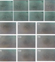 Jundishapur J Nat Pharm Prod