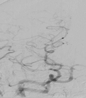 Ann Mil Health Sci Res