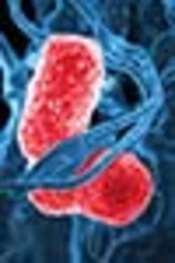 Comparison of Antibacterial Efficacy of Probiotic Mouthwash with Chlorhexidine Against Common Oral Pathogens: An In-Vitro Study
