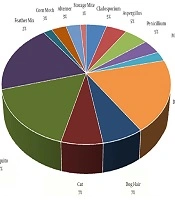  	Jundishapur Journal of Chronic Disease Care 