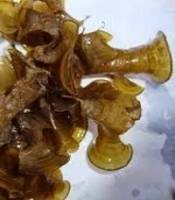  Jundishapur J Nat Pharm Prod