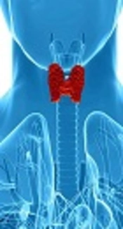https://www.healthline.com/health/thyroid-function-tests
