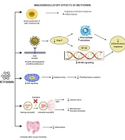 Int J Endocrinol Metab