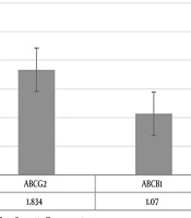 International Journal of Cancer Management