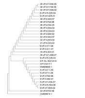 Jundishapur J Microbiol