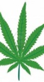 Cannabinoids Hyperemesis Syndrome